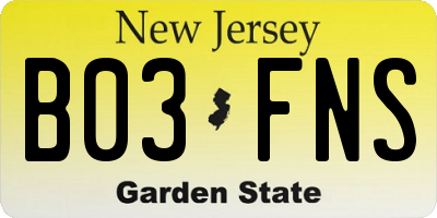 NJ license plate B03FNS