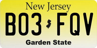 NJ license plate B03FQV