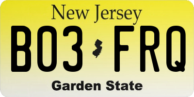 NJ license plate B03FRQ