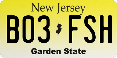 NJ license plate B03FSH