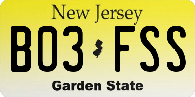 NJ license plate B03FSS