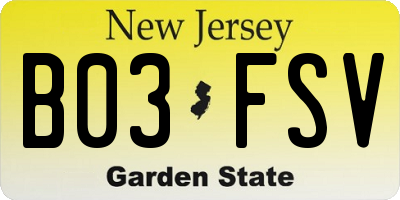 NJ license plate B03FSV