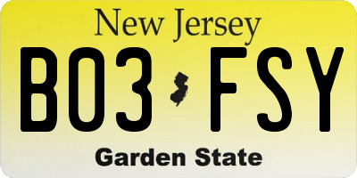 NJ license plate B03FSY