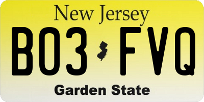 NJ license plate B03FVQ