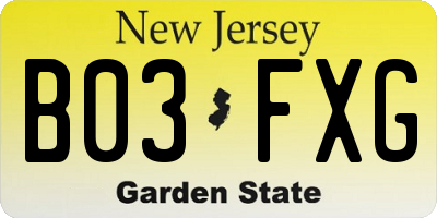 NJ license plate B03FXG