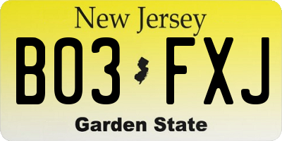 NJ license plate B03FXJ