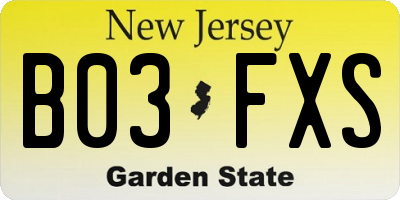 NJ license plate B03FXS