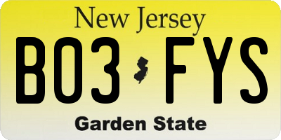 NJ license plate B03FYS