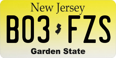 NJ license plate B03FZS