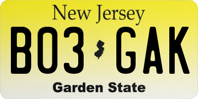 NJ license plate B03GAK