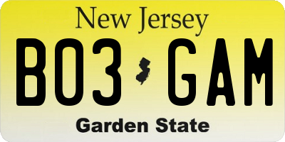 NJ license plate B03GAM