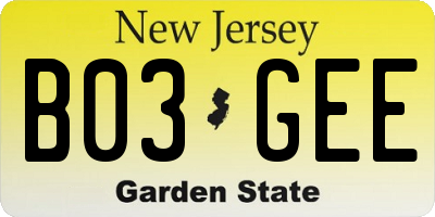 NJ license plate B03GEE