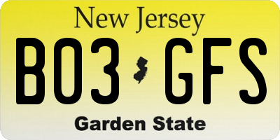 NJ license plate B03GFS