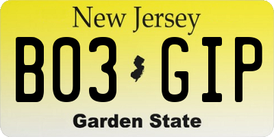 NJ license plate B03GIP