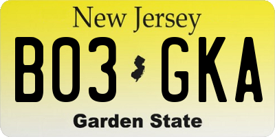 NJ license plate B03GKA