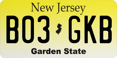 NJ license plate B03GKB