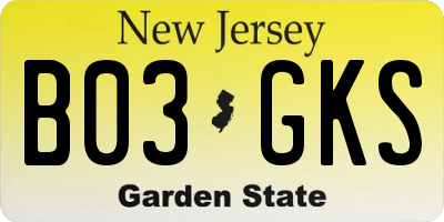NJ license plate B03GKS