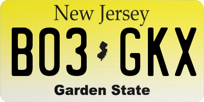 NJ license plate B03GKX