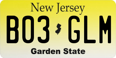 NJ license plate B03GLM