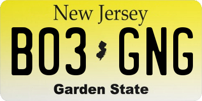NJ license plate B03GNG