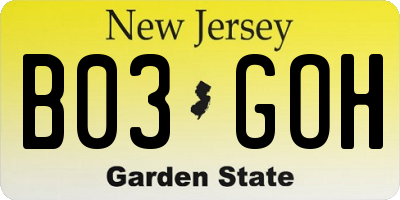 NJ license plate B03GOH