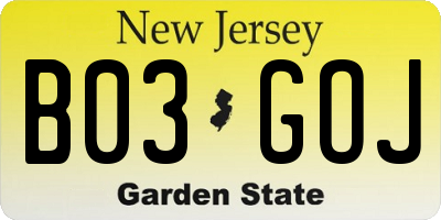 NJ license plate B03GOJ