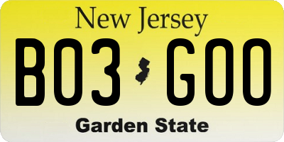 NJ license plate B03GOO