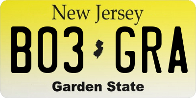 NJ license plate B03GRA