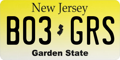NJ license plate B03GRS