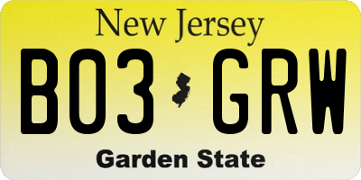NJ license plate B03GRW