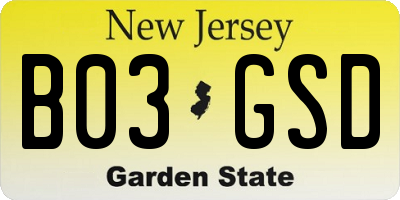 NJ license plate B03GSD