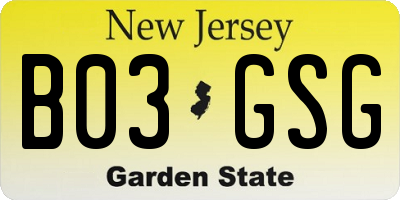 NJ license plate B03GSG