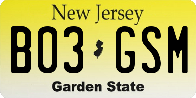NJ license plate B03GSM
