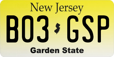 NJ license plate B03GSP
