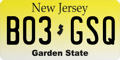 NJ license plate B03GSQ