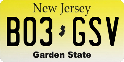 NJ license plate B03GSV