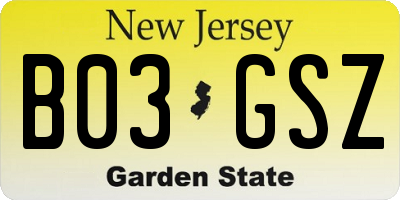NJ license plate B03GSZ