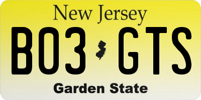NJ license plate B03GTS