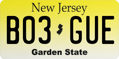 NJ license plate B03GUE