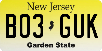 NJ license plate B03GUK