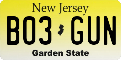 NJ license plate B03GUN