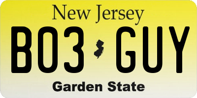 NJ license plate B03GUY