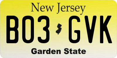 NJ license plate B03GVK