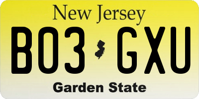 NJ license plate B03GXU