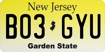 NJ license plate B03GYU