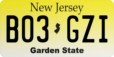 NJ license plate B03GZI