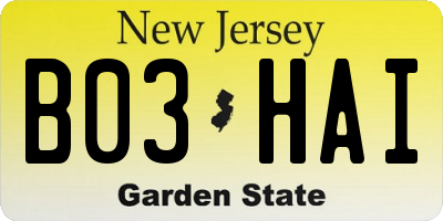NJ license plate B03HAI