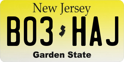 NJ license plate B03HAJ