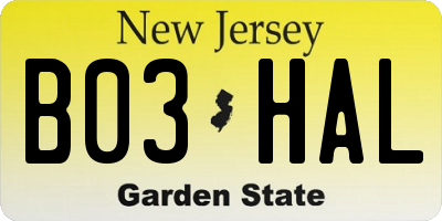NJ license plate B03HAL