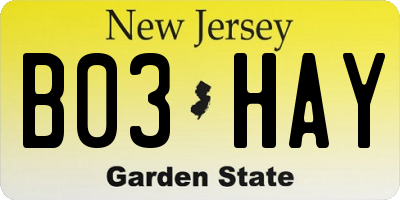 NJ license plate B03HAY